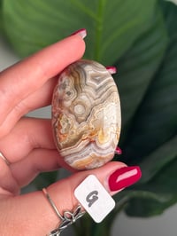 Image 14 of CHOOSE YOUR OWN MEXICAN LACE AGATE PALMSTONES 