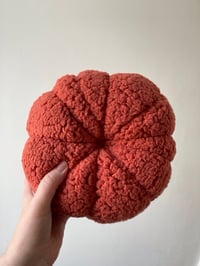 Image 6 of Fluffy pumpkin - Large.
