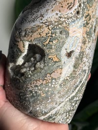 Image 10 of PEACHY GREEN VEINLESS OCEAN JASPER FREEFORM -MADAGASCAR-
