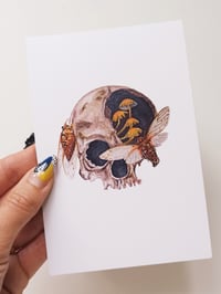 Image 5 of Skull-Cicadas Watercolor Illustration PRINT 