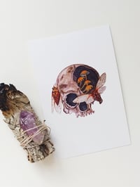 Image 4 of Skull-Cicadas Watercolor Illustration PRINT 