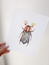 Image 4 of June Beetle Watercolor Illustration PRINT 