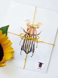 Image 6 of June Beetle Watercolor Illustration PRINT 