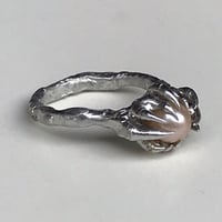 Image 3 of Captivator Ring | Custom Size 