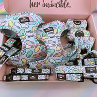 Image 4 of Cool Beans Collection - Adjustable Pet Harness