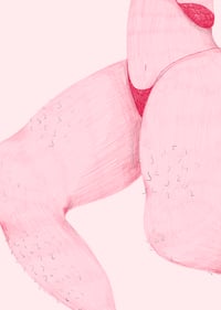 Image 3 of Hairy Girl