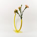 Image of Edging Over Vase, Medium - Yellow