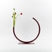 Image of Medium Edging Over Vase - Merlot