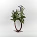 Image of Glass Half Full Vase, Small - Merlot
