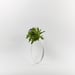 Image of Small Almost a Circle Vase - White
