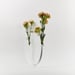 Image of Medium Glass Half Full Vase - White