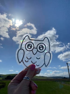 Image of Oscar the Owl Suncatcher Sticker | Suncatcher Window Decal | Rainbow Window Suncatcher