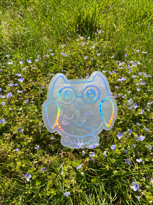 Image of Oscar the Owl Suncatcher Sticker | Suncatcher Window Decal | Rainbow Window Suncatcher