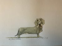 Image 2 of Daschund (ORIGINAL)