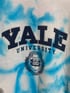 Yale Champion Crewneck- TIE DYE Image 2