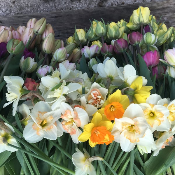 Image of Mother's Day Spring Bouquets