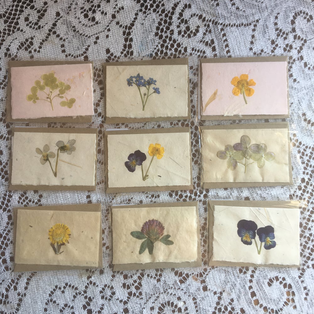 Image of Handmade Paper Cards with Pressed Flowers