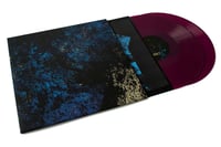 Image 3 of RST 2LP