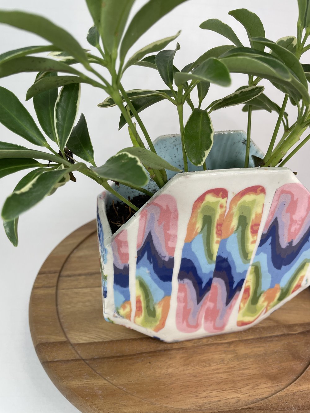 Image of Rainbow Octagonal Planter
