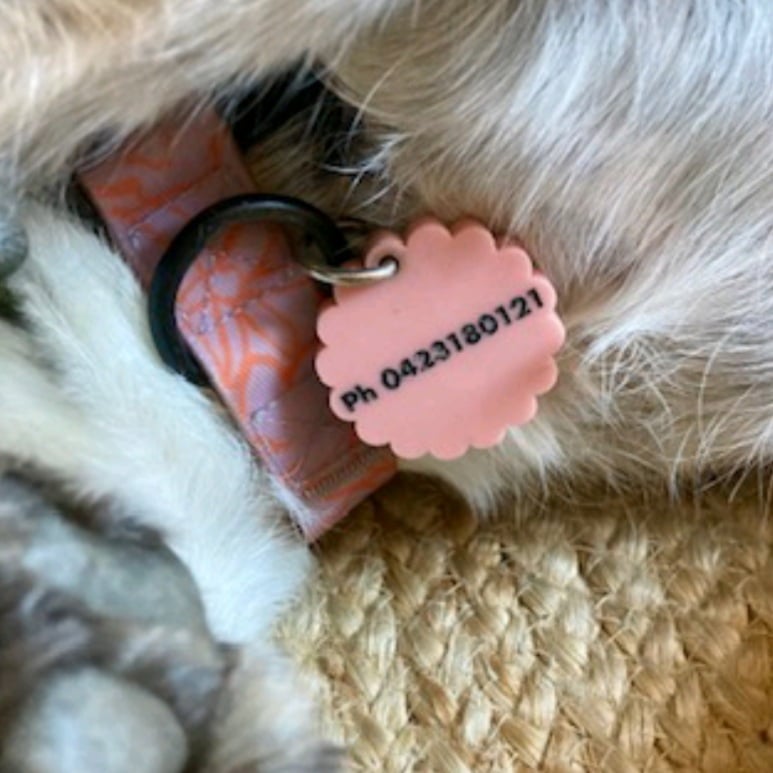Image of Furry friends tags