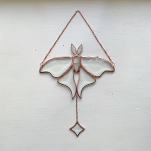 Image of Beveled Luna Moth