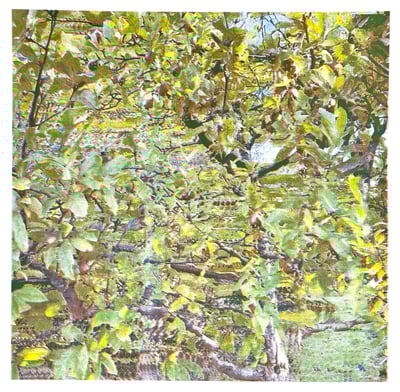 Image of Natures Cerebral Evocation