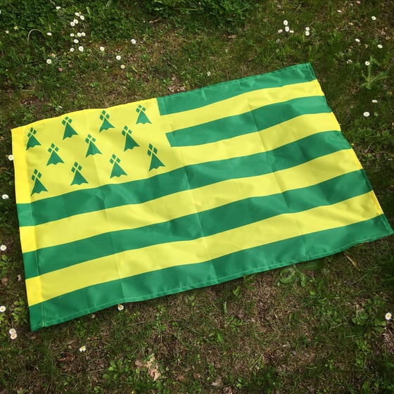 Le drapeau breton, le connaissez-vous vraiment? - Ker BRUNAT