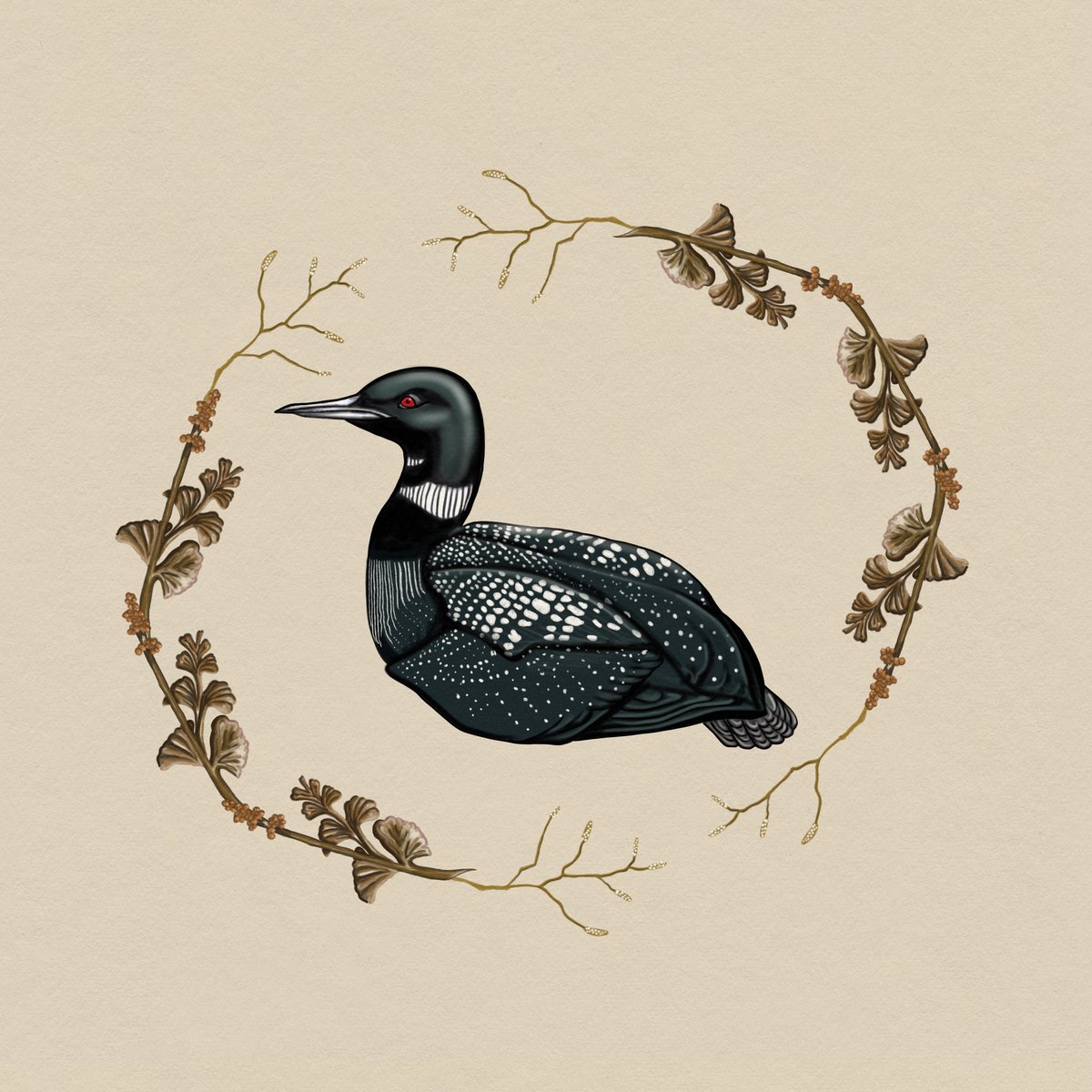 common loon painting