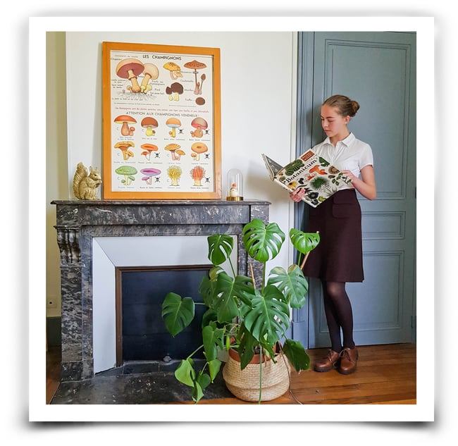 Affiche scolaire Champignons