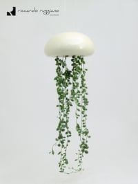 Image 1 of Medufosfora