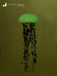 Image 2 of Medufosfora