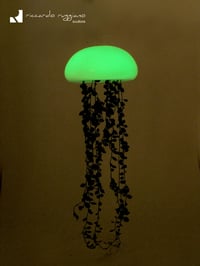 Image 3 of Medufosfora
