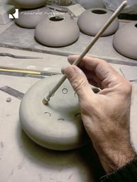 Image 5 of Medufosfora