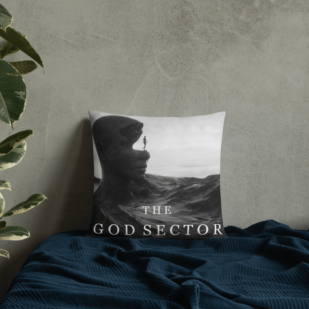 The God Sector | 18" X 18" Pillow