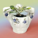 Image 2 of Large Flex Planters with 22Kt Gold
