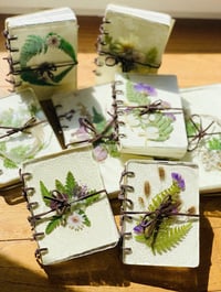 Botanical Journals