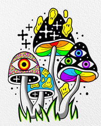 🍄SHROOMS🍄