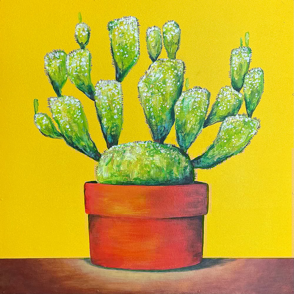 Image of Cactus Red Pot