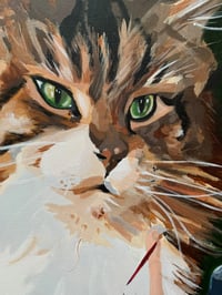 Image 2 of My Cat Tank