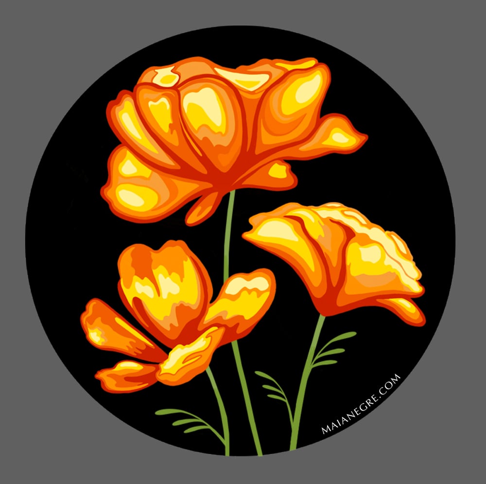 Image of Poppies Sticker