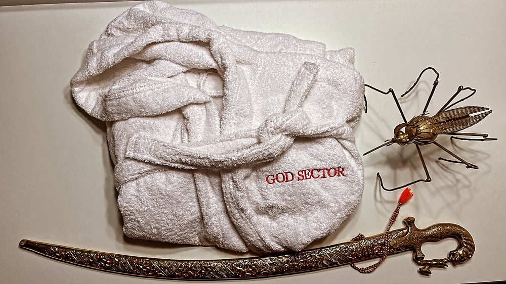The God Sector | Robe
