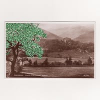 Image 1 of LITTLE SOLACE