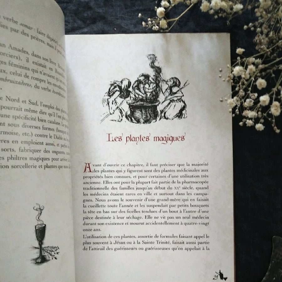 Image of HERBES MAGIQUES & PETITES FORMULES Sorcellerie en Roussillon ※ Joan Tocabens ※ RARE ※ FRENCH