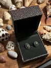 Opihi Studs w/ Olivine Crystals 