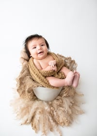 Image 3 of Milestone mini