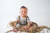 Image 5 of Milestone mini