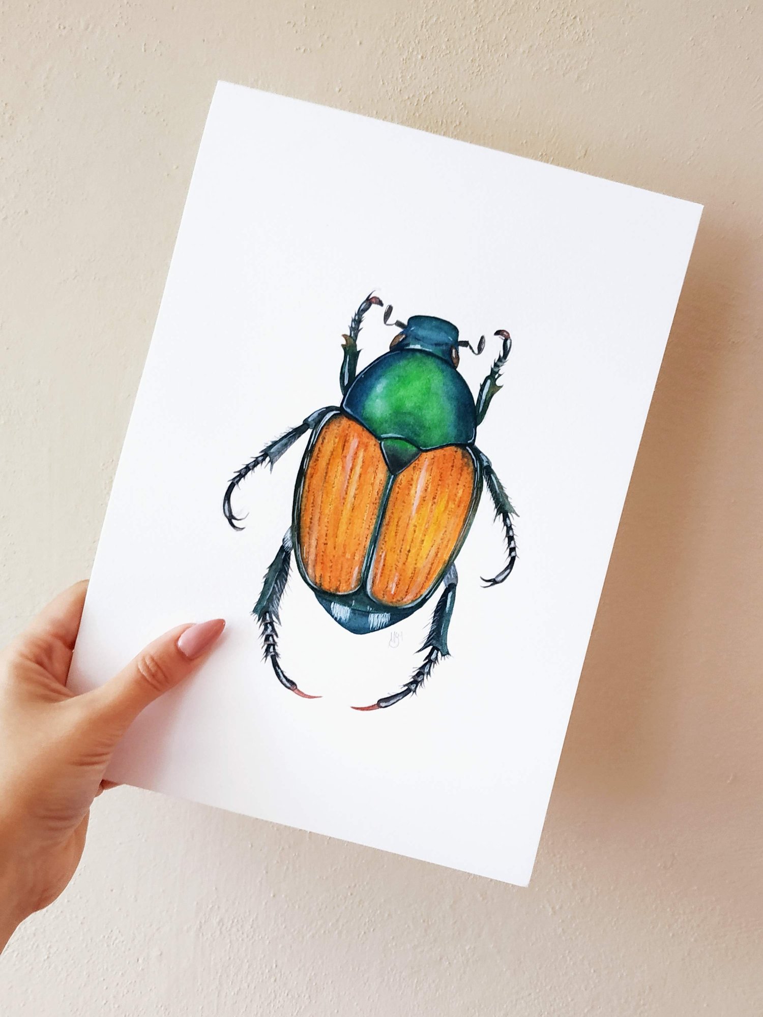 Image of Japanese Beetle Watercolor Illustration PRINT 