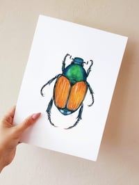 Image 6 of Japanese Beetle Watercolor Illustration PRINT 