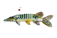 Image 2 of Kartīšu komplekts ar zivīm