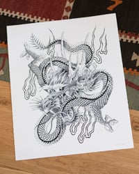 Image 1 of Dragon's Fight